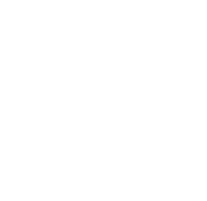 Hudson Security Services logo